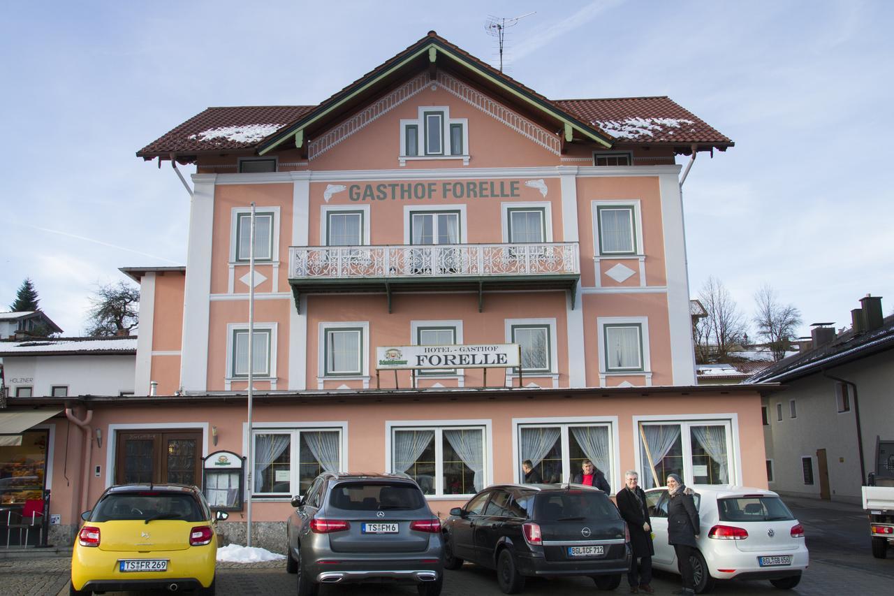 Hotel Gasthof Forelle Зигсдорф Экстерьер фото